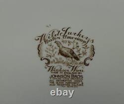 Johnson Bros Windsor Ware Ceramic 20 Native American Turkey Serving Platter
