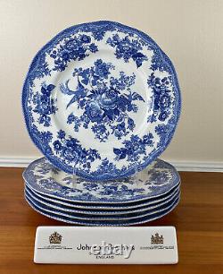 Johnson Brothers ASIATIC PHEASANT Blue 9? Dinner Plates Set of 6 MINT