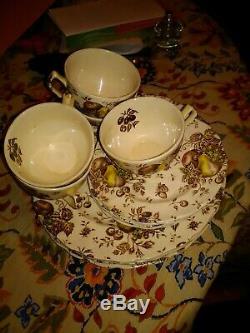 Johnson Brothers Autumn's Delight 10 Plates, Saucers, teacups. Set of 20