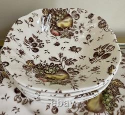 Johnson Brothers Autumn's Delight Transferware Service for 6 (33 pieces)