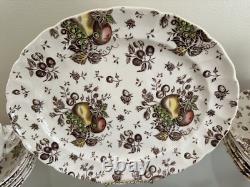 Johnson Brothers Autumn's Delight Transferware Service for 6 (33 pieces)