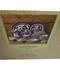 Johnson Brothers Blue Willow 45 Pc Set Dinner Set Serving 8 Brand New England