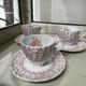 Johnson Brothers Bros Rose Bouquet Cup Saucer From Japan
