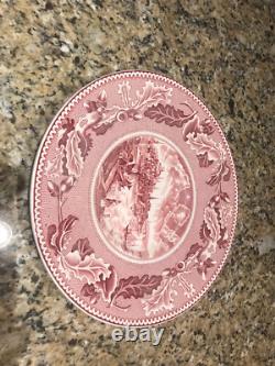 Johnson Brothers China Large 9 Bowl and 11 Plate Pink