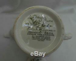 Johnson Brothers Day In June Flowers Coffee Pot Server Rare