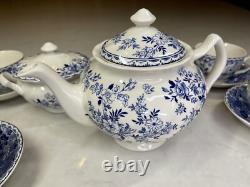 Johnson Brothers Devon Cottage Blue 13-Piece Tea Set Teapot Cups & Saucers