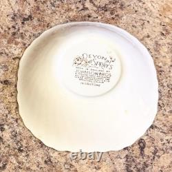 Johnson Brothers Devon Sprays 42 Piece Dinner Sets Plates Bowls Floral England
