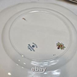 Johnson Brothers England Yale Pareek 45 Piece Dinner Set for 6 Place Settings