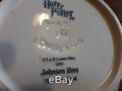 Johnson Brothers HARRY POTTER Tea Pot