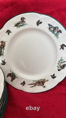 Johnson Brothers Of England Vintage Brookshire Dinner Plates 10.5 Lot of 11