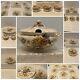 Johnson Brothers Sheraton China With Rare Pieces Including Tureen & Lid Flawless