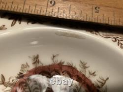 Johnson Brothers WILD TURKEYS Native American Windsor Ware 19 piece / Set for 4