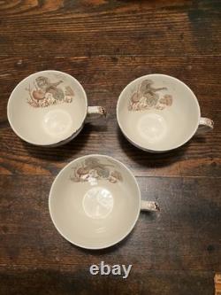 Johnson Brothers WILD TURKEYS Native American Windsor Ware 19 piece / Set for 4