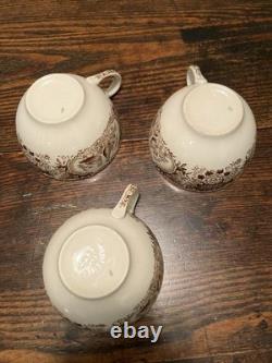 Johnson Brothers WILD TURKEYS Native American Windsor Ware 19 piece / Set for 4