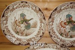 Johnson Brothers Wild Turkey (7) Dinner Plates, 10 5/8