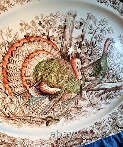 Johnson Brothers Wild Turkeys Native American Windsor Ware 20 Platter SPARKLING