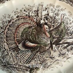 Johnson Brothers Wild Turkeys Oval Serving Platter Windsor Ware Holiday Plate