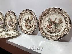 Johnson Brothers Windsor Ware (8) Dinner Plates Wild Turkey IMMACULATE