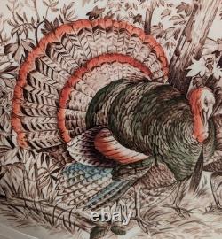 Large 20 Wild Turkeys Native American Windsor Ware Johnson Bros Oval PLATTER