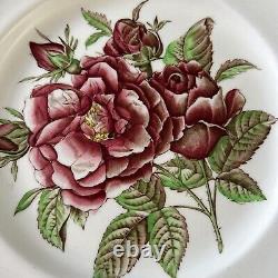 Lot 7 Antique Rose Old Flower Prints Dinner Plates 10 Johnson Brothers MINT