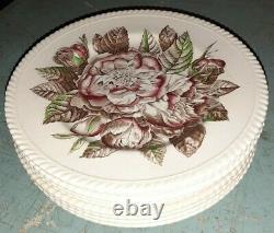 Lot 9 Antique Rose Old Flower Prints Dinner Plates 10.5 by Johnson Brothers
