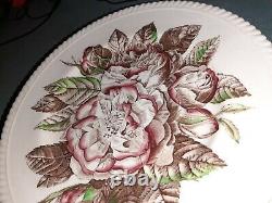 Lot 9 Antique Rose Old Flower Prints Dinner Plates 10.5 by Johnson Brothers