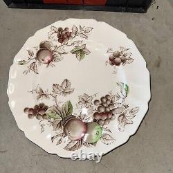 Lot Of 5 Harvest Time by Johnson Bros. 11-1/2 Service plate platter charger