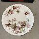 Lot Of 5 Harvest Time By Johnson Bros. 11-1/2 Service Plate Platter Charger