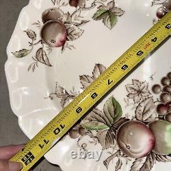 Lot Of 5 Harvest Time by Johnson Bros. 11-1/2 Service plate platter charger