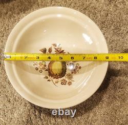 Lot of 11 Johnson Bros Fruit Sampler Vegetable Bowls Various Sizes