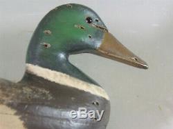 Mallard duck decoy H. Johnson -Bros. Boat Works Point Pleasant, NJ ca. 1920 branded