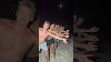 Men If You Re Sad Watch This Theboys Ymca Shorts Viral Beach