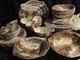 Nwot Brand New Johnson Brothers Olde English Countryside Lot Of 51 Piece's
