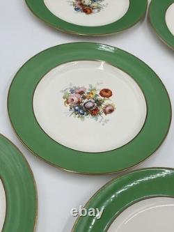 Rare Set of Antique Plates Pareek Johnson Bros England 9 Quantity 12