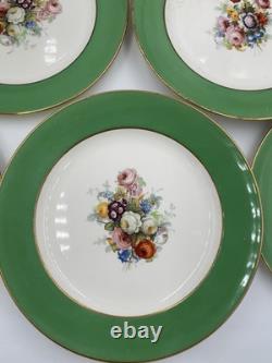 Rare Set of Antique Plates Pareek Johnson Bros England 9 Quantity 12