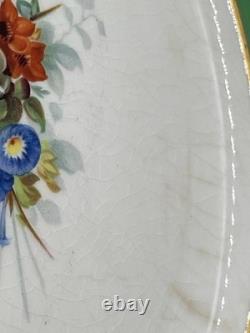 Rare Set of Antique Plates Pareek Johnson Bros England 9 Quantity 12