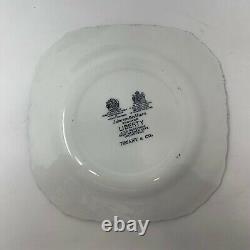 Set/12 Johnson Brothers for TIFFANY & Co. Liberty 8 1/4 Square Salad Plates