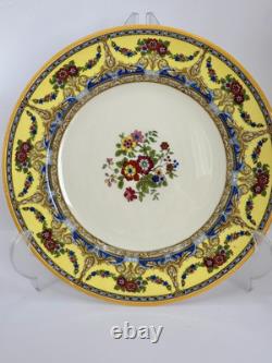Set of 10 Antique Pareek Johnson Bros Columbus England Dinner Plate 10.5