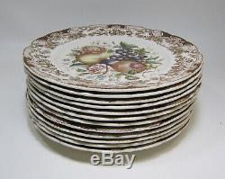 Set of 12 JOHNSON BROS. Windsor Ware HARVEST FRUITS Dinner Plates 10.75