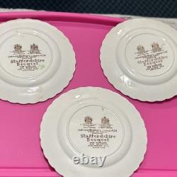 Stafordshire Bouquet Made in England By Johnson Bros Fine China Set