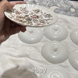 Stafordshire Bouquet Made in England By Johnson Bros Fine China Set