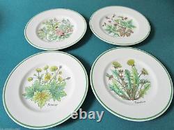 Tiffany & Co Johnson Bros -menagerie- -wild Flowers- Salad Plates Origin Pick 1