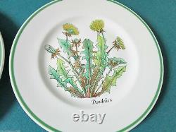 Tiffany & Co Johnson Bros -menagerie- -wild Flowers- Salad Plates Origin Pick 1