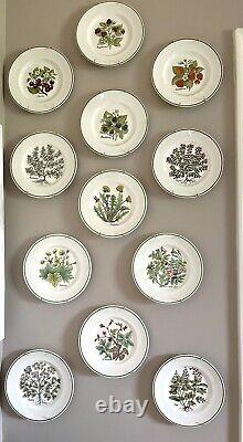 Tiffany & Co Plates Complete Set Wild Flowers, Herbs, Staffordshire Fruits
