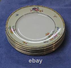 Vintage Johnson Bros England Lorraine Dinner Plates 10 3/4 Pareek 19 Piece Lot