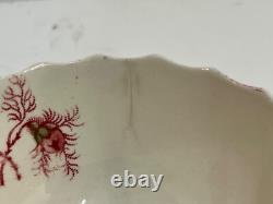 Vintage Johnson Bros. English Porcelain Rosebud Chintz Set of 14 Cups&Saucers