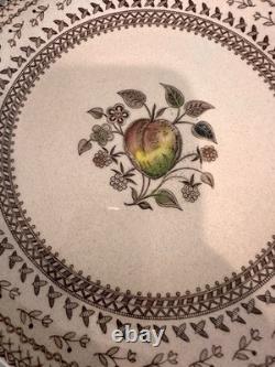Vintage Johnson Bros Fruit Sampler Old Granite Dinnerware Set