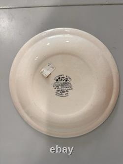 Vintage Johnson Bros Fruit Sampler Old Granite Dinnerware Set