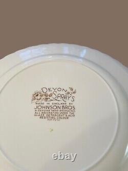 Vintage Johnson Brothers DEVON SPRAYS 10 dinner plates (10) brown/multicolor