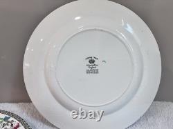 Vintage Johnson Brothers England Indian Tree China Set